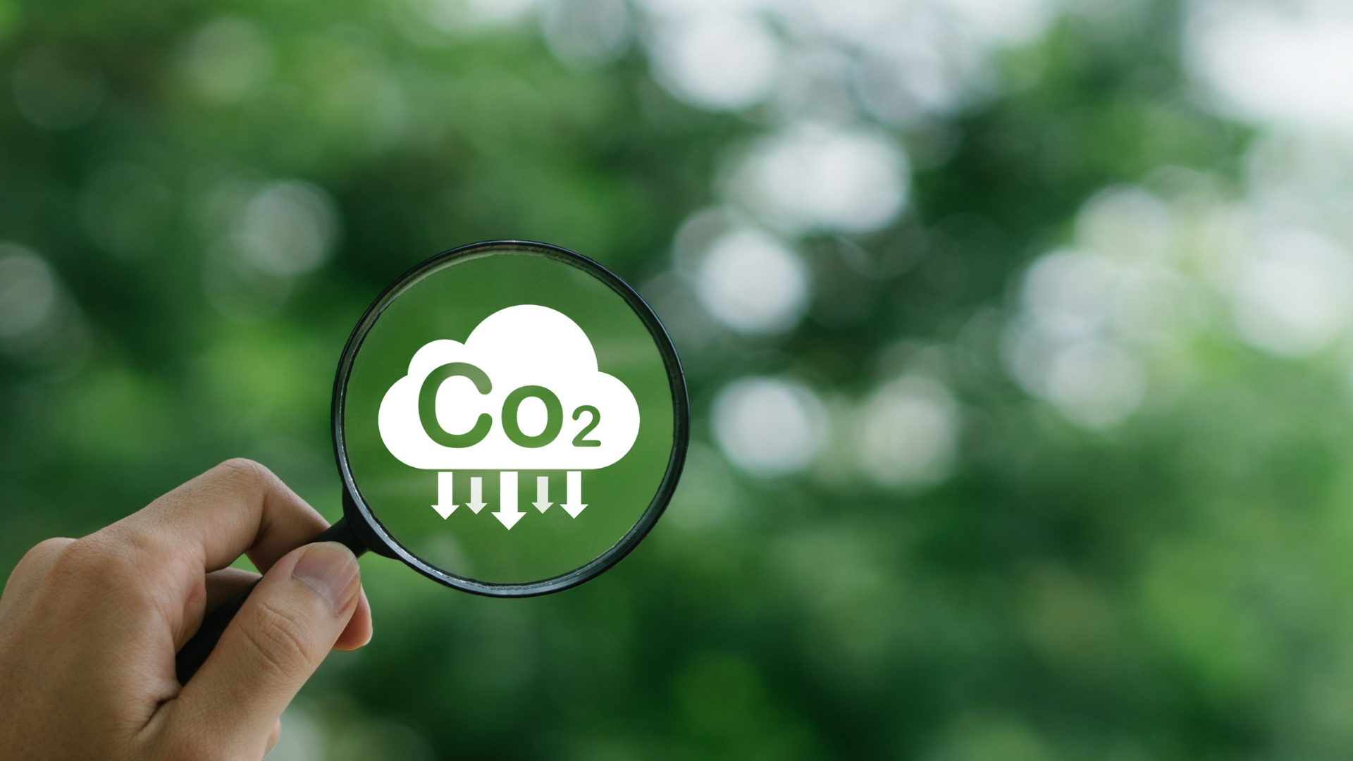 reduce-your-carbon-footprint
