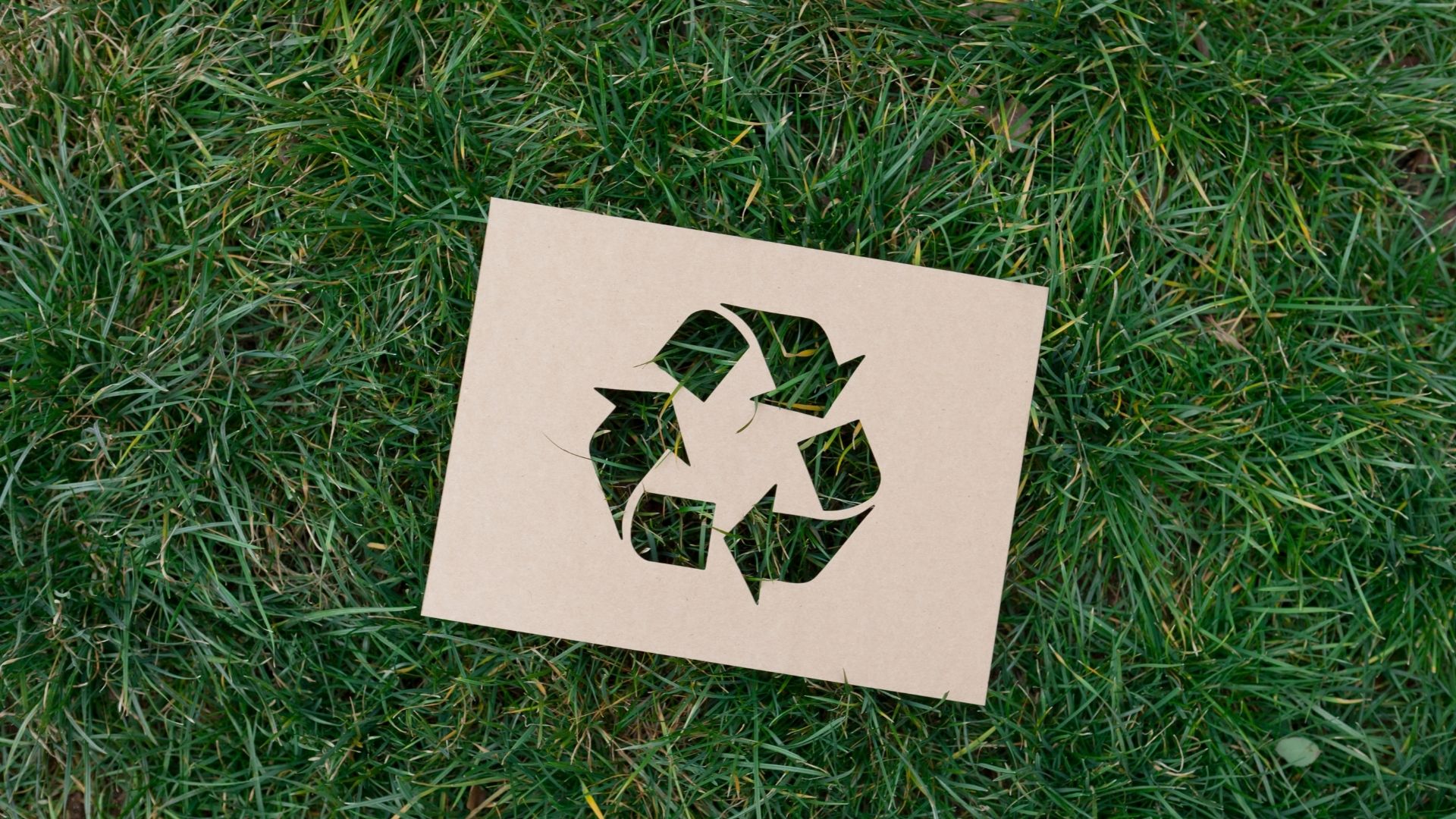 world-recycling-day