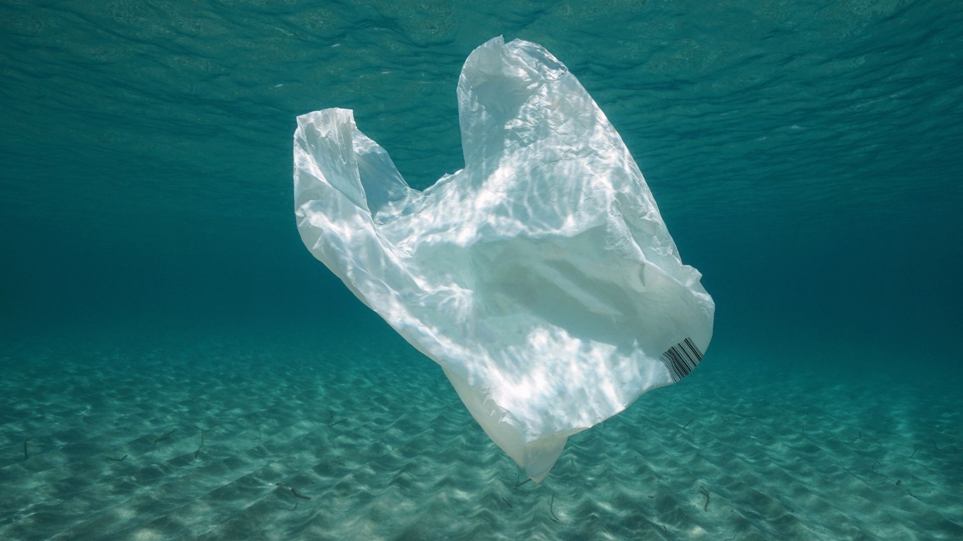 July: Plastic Waste Month – Small Waste, Big Impact